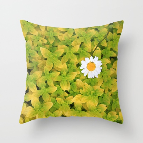 Throw Pillow Cover (16" X 16") Indoor - Daisy Flower Reaching For The Sun