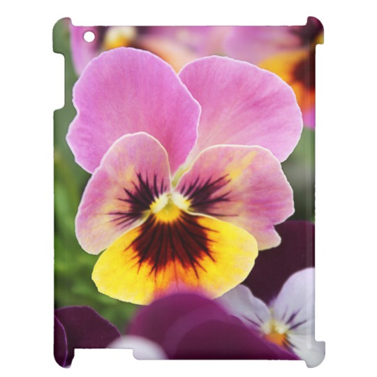Colorful Pink and Yellow Pansy Flower iPad Case