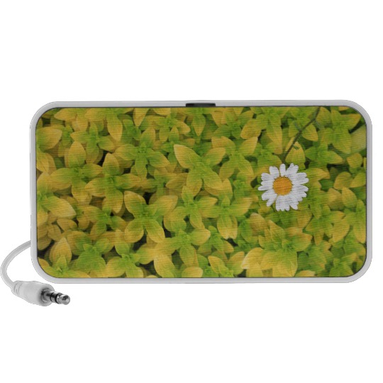 Daisy Flower Reaching For The Sun Speaker