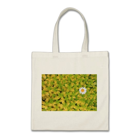 Daisy Flower Reaching For The Sun Tote Bag